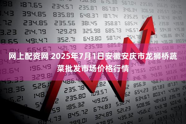 网上配资网 2025年7月1日安徽安庆市龙狮桥蔬菜批发市场价格行情