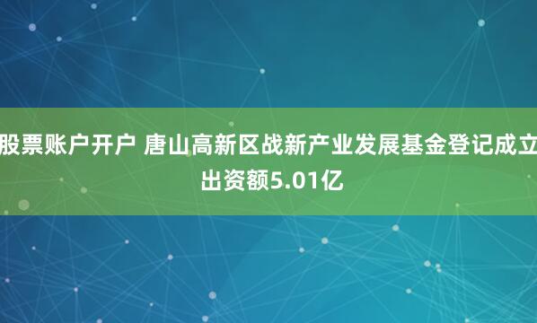 股票账户开户 唐山高新区战新产业发展基金登记成立 出资额5.01亿